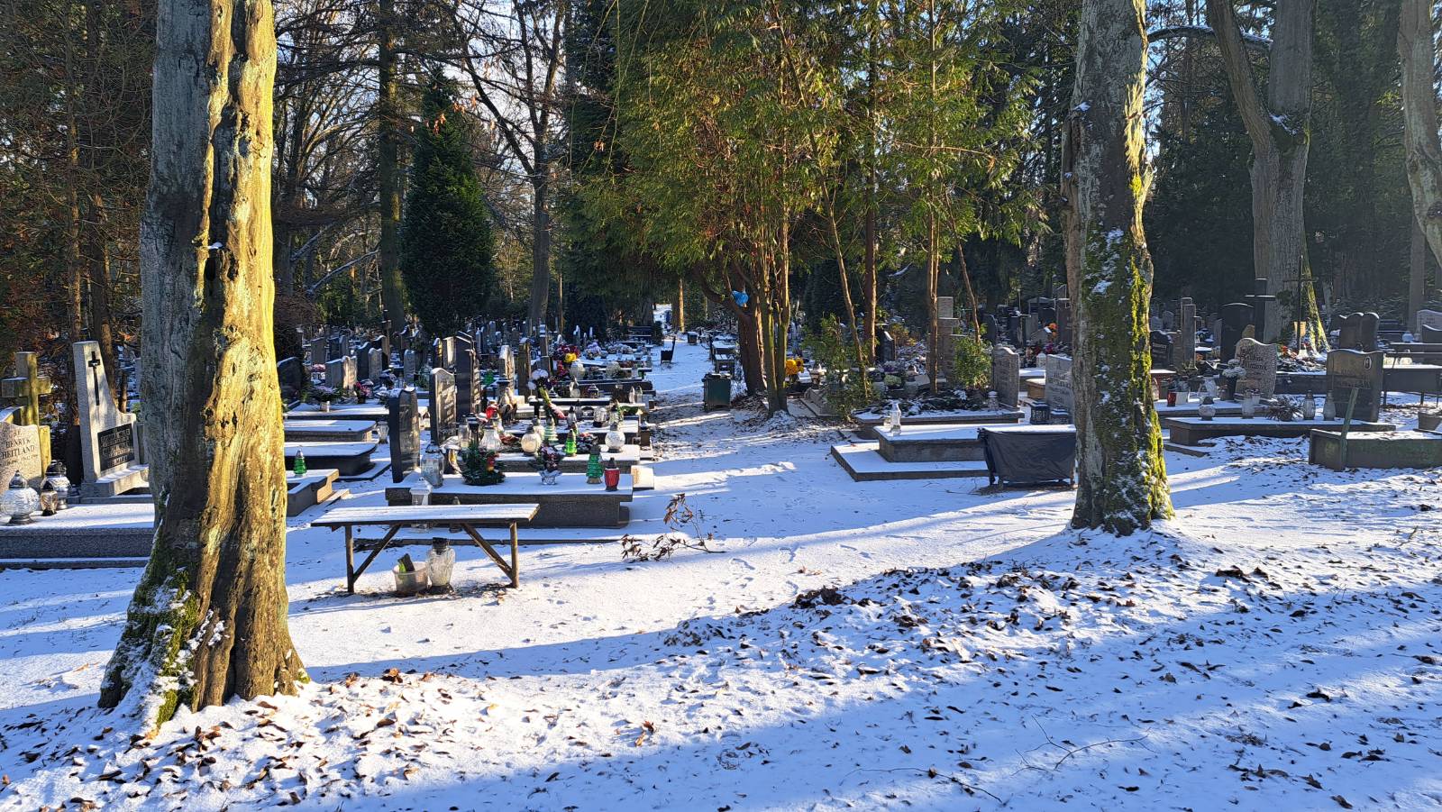 Aleja przy kwaterze 29 zimą